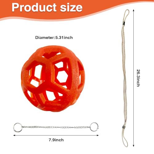 Snake Enrichment Climbing Toys Pet Habitat Accessories for Snakes Lizards Geckos Easy Install Suction Cups Carabiners Slim Python Reptile Jungle Gym Small Playground Exploring&Climbing Accessories