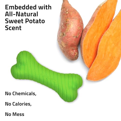Playology Dual Layer Bone Dog Chew Toy - Jumbo, Sweet Potato Scent | Rubber Construction, All Natural Scent, Heavy Duty Design - size: Jumbo, style: Sweet Potato