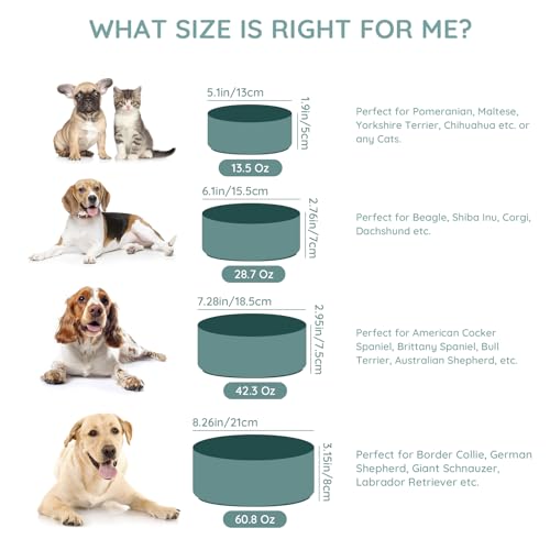 SPUNKYJUNKY 13.5OZ Ceramic Dog and Cat Bowl, Modern Cute Weighted Food Water Bowl for Replacement Light Green (2 Pack) - color: Light Green, size: 1.7 CUPS × 2