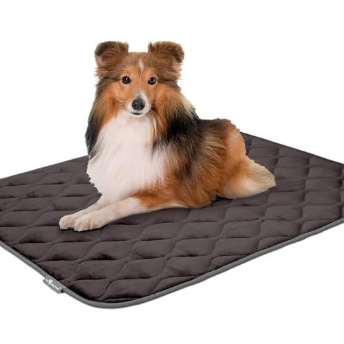 Paw Inspired Washable Padded Crate Mats for Dogs, Gray, 41x28 Inch | Fits 42-inch Kennels, Leakproof, Waterproof Bottom, Plush Dog Pad, Pet Bed - color: Gray, size: 42 Inch