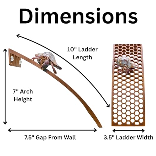 Hermit Crab Ladder Ramp Climbing Toy | Hermit Crab Tank Enrichment Decor | Hermit Crab Decoration Accessories Supplies Toys Ornaments