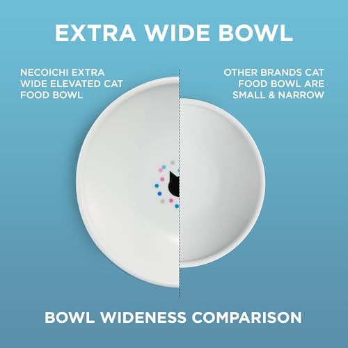 Necoichi Ceramic Raised Cat Food Bowl (Colorful Dots, Large Extra Wide) - color: Colorful Dots, size: Large Extra Wide