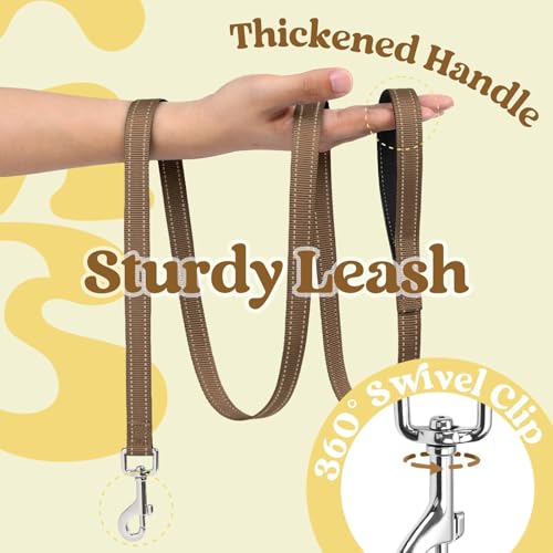 rabbitgoo Dog Harness Small Sized and Leash Set, Step in Soft Vest | Breathable Mesh, Easy Wear with Hook & Loop, Light and Reflective for Walking, Multi-colored, Beige & Coffee, XXS - color: Beige & Coffee, size: XXS (Chest: 12.4"-14.2")
