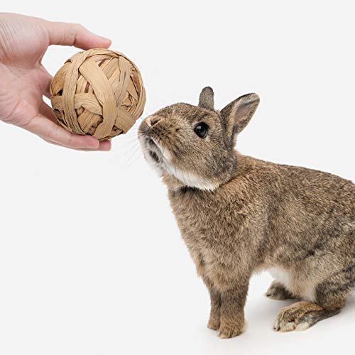 Niteangel Natural Chew Activity Toys: Meets Small Pet Chewing Needs & Mood | Helps Alleviate Teeth Grinding & Reduces Boredom - Fun Safe Hay Grass Balls for Chinchilla Guinea Pig Rats Rabbits Hamster - color: 4 Balls