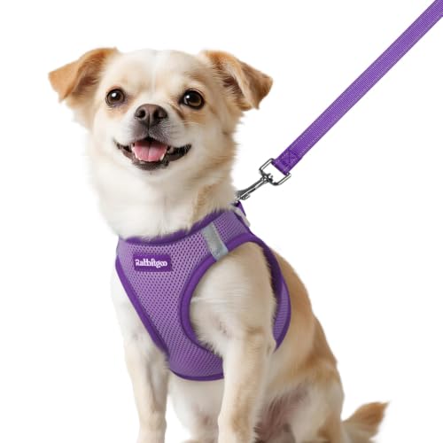 rabbitgoo Dog Harness Small Sized and Leash Set, Step in Soft Vest | Breathable Mesh, Easy Wear with Hook & Loop, Light and Reflective for Walking, Multi-colored, Light Purple & Purple, XXS - color: Light Purple & Purple, size: XXS (Chest: 12.4"-14.2")
