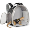 Bearded Dragon Carrier Backpack with Security Printing Harness Leash Set, Reptile Lizard Space Capsule Astronaut Clear Bubble Window Travel Carrier for Small Animal Guinea Pig(Black, Security Harness) - color: Black