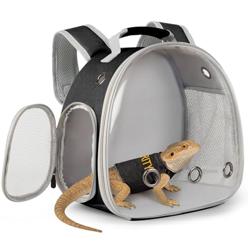 Bearded Dragon Carrier Backpack with Security Printing Harness Leash Set, Reptile Lizard Space Capsule Astronaut Clear Bubble Window Travel Carrier for Small Animal Guinea Pig(Black, Security Harness) - color: Black