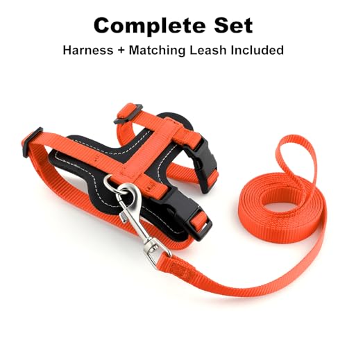 Plutus Pet Adjustable Cat Harness and Leash Set, with Leather Trim | Quick Release, Escape Proof Nylon Vest, for Kitten Small Medium Large Cats, Orange - color: Orange