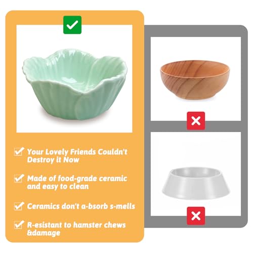 Tfwadmx 2 Pcs Ceramic Pet Hamster Bowl, Dwarf Hamster Food Bowl Feeder, Small Animal Food Dish for Guinea Pigs, Hedgehogs, Mice, Pygmy Hamsters, Robertsky'S Cheeky Mice (Cyan) - color: Cyan