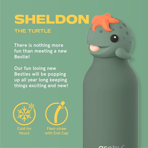 asobu Bestie Water Bottle, Cute Collectible Character, Leak Proof, BPA Free | 16 oz, Stays Cold 24 Hours, Double Wall Vacuum Insulation, Food Grade Stainless Steel, Spill Resistant, Great Gift Idea - color: SHELDON THE TURTLE