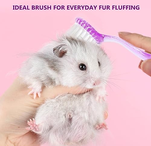 3PC Small Animal Bath Brush with Lid Soft Cleansing Brush Massage Combs for Hedgehog Guinea Pig Rabbit Chinchilla Ferret Small Animal Grooming Tool Cleaning Supplies