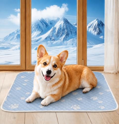 BWX Cooling Mat for Dogs - Easy Clean & Fold Cool Mat for Dogs, Chew Resistant Dog Cooling Pad with Non-Slip Bottom & Chill Soothing Fabric (M/20''×28'') - size: M/20''×28''