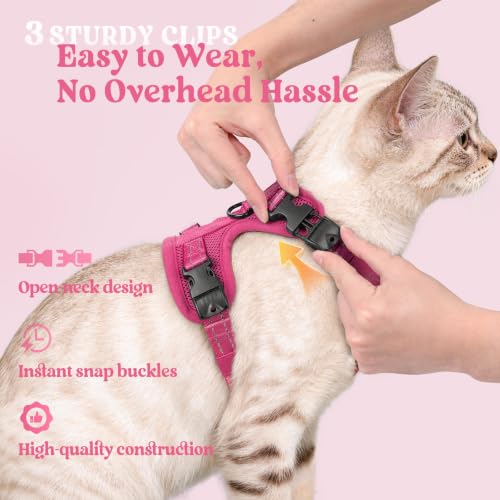 rabbitgoo Cat Harness and Leash Set, Easy-on with Neck Buckle, Rose Red | Escape Proof, No Over-the-head, Soft Air Mesh, 3 Lockable Adjusters & Buckles, Reflective, for Kittens & Small Cats Walks, Xs - color: Rose Red, size: Xs