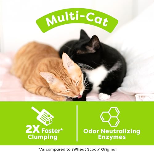 sWheat Scoop Natural Wheat Multi-Cat Litter, Superior Clumping with Odor Neutralizing Enzymes, 25 Pound Bag