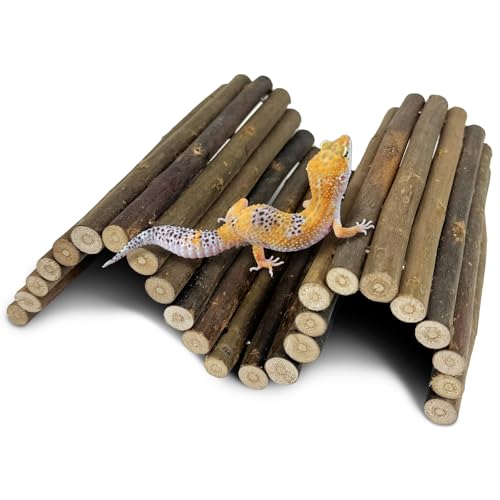 Hamiledyi 13.8" L x 7.9" W Wooden Reptile Bridge Ladder Climbing Toy Natural Hideout Tunnel Ramp for Lizards Gecko Spiders Snakes Tortoise
