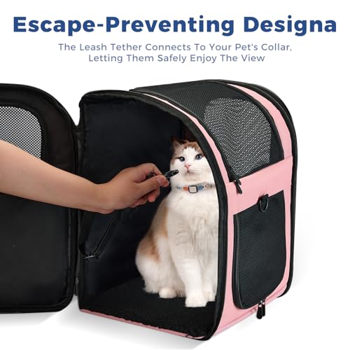 Apollo Walker Cat Carrier Backpack for Small Dogs and Cats Up to 18 lb | Side Pockets, Four-Sided Breathable Mesh, Stability Package, Removable Pad,3D back panel,Thickened shoulder straps - color: Pink
