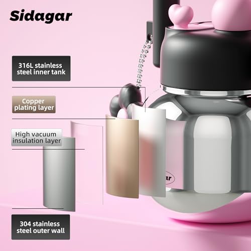 22 oz Tote Insulated Water Bottle with Handle, Leakproof, Silver | Cute design with durable 316L stainless steel, dual sip, keeps drinks hot or cold longer, travel and everyday hydration - color: Silver Black