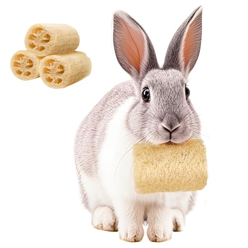BESNEW 3 PCS Rabbit Chew Toys,100% Natural Loofah Without Additives,Bunny Chew Toys for Teeth,Fiber-Rich Rabbit Treats for Bunny Chinchilla Dogs - style: 3 ps
