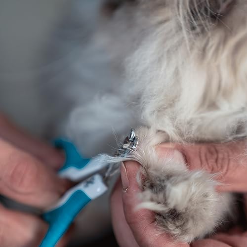 Mr. Pen- Cat Nail Clipper, Stainless Steel, Sharp Cat Claw Trimmer | Cat Claw Trimmer for Small and Medium Cats, Pet Nail Clipper with Sturdy Non Slip Handle - color: Blue