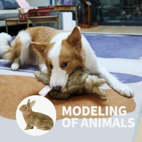 ALL FOR PAWS Rabbit Squeaky Doy Toy, Bunny Dog Toy for Medium Large Breed, Puppy Fetch Toy with Squeaker, Plush Chew Dog Toy, Classic Brown Rabbit-L - size: Large (Pack of 1)