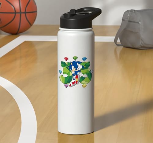 Sonic the Hedgehog: 35th Anniversary Key Visual Stainless Steel Insulated Water Bottle - color: White
