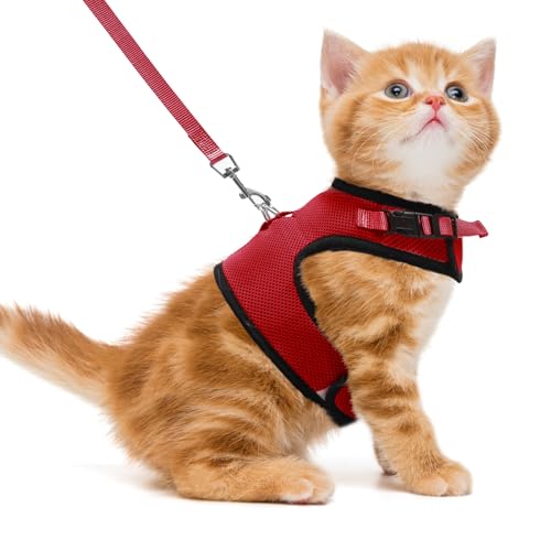 PUPTECK Soft Mesh Cat Vest Harness and Leash Set Puppy Padded Pet Harnesses Escape Proof for Cats Small Dogs, Red Medium - color: Red, size: M(NECK 7", CHEST 10.5", 4-6 lbs)