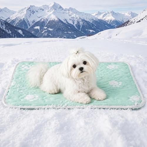 Cooling Mat for Small Dog, Waterpoof Q-Max>0.5 Breathable Cold Crate Pad for Puppy Cat, Washable Kennel Bed for Active Pet with Chill Soothing Fabric to Rapid Cooling, 24×18, Green - color: Mint Green, size: 24"×18"