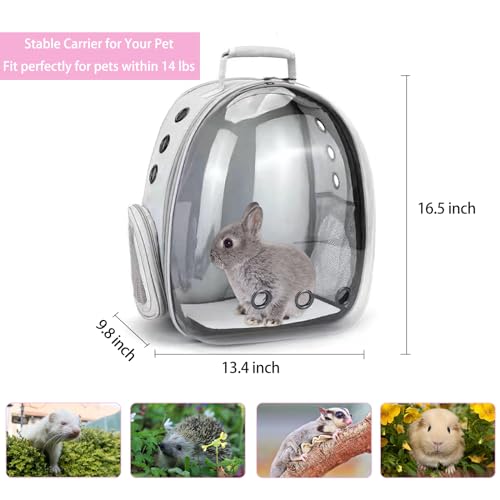 Rabbit Carrier Small Pet Carrier with Bunny Harness and Leash | Large Bunny Carrier Clear Bubble Window Small Animal Carrier for Guinea Pig Ferret Hedgehog Squirrel Kitten Travel Walking - color: Rabbit Carrier Backpack