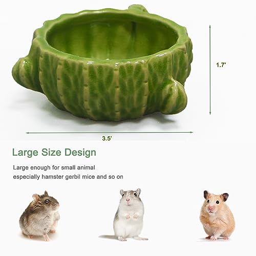 2 Pack Green Cactus Ceramic Hamster Food Bowl Anti-Tip Water Dish | Durable & Heavy Duty Ceramic Feeding Drinking Bowl for Gerbil Mouse Chinchilla Hedgehog Guinea Pig, Cute Desert Cactus Decor
