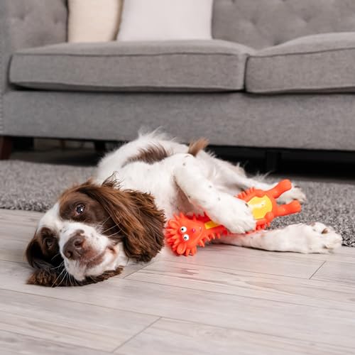 Outward Hound Latex-Free Big Squeak Hedgehog Dog Toy - color: Hedgehog, style: Big Squeak Hedgehog