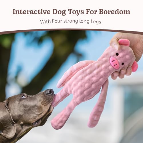 SHARLOVY No Stuffing Dog Toys 5 Pack, Crinkle Interactive Dogs Toy for Boredom, Puppy Toys for Teething to Keep Them Busy, Cute Squeaky Dogs Toy for Small, Medium, and Large Breed | Puppy Toys for Teething to Keep Them Busy, Cute Squeaky Dogs Toy for Smal