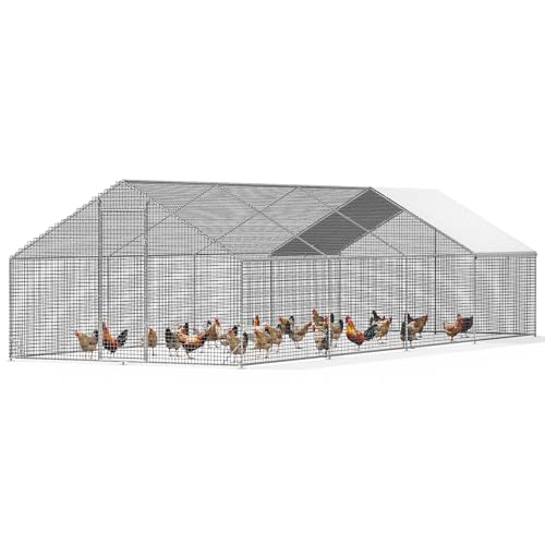 LEVELEVE Large Walk-in Chicken Coop with Chicken Run, Galvanized Poultry Enclosure with Waterproof Anti-UV Cover and Security Lock, Ideal for Rabbit, Duck, Backyard and Farm Yard，26.2'x 9.8'x 6.6' - size: 315.4"L x 117.6"W x 78.7"H
