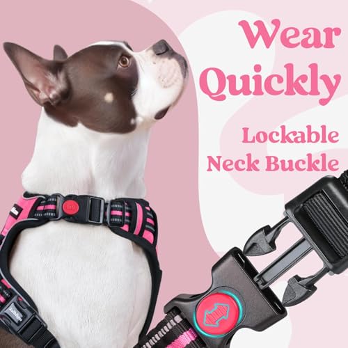 rabbitgoo Dog Harness Small Sized, Updated Easy On & Off with 3 Buckles | No Pull No Choke, Walking with 2 Clips and Handle, Adjustable Soft Reflective, Rose Pink, Small - color: Rose Pink, size: Small