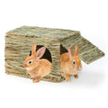 BWOGUE Large Bunny Grass House, Natural Seagrass Bed Hideaway Toy, Hay Mat | Rabbit Grass House, Rabbit Hideout, Rabbit Hut, Chew Toys, 11.81x7.87x9.06 in, Guinea Pig, Hamster, Chinchilla - size: Medium