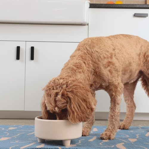 Waggo Uplift Ceramic Dog Bowl for Small Medium and Large Breeds - Heavyweight and Durable Pet Food and Water Dish Crock, Dishwasher Safe, Modern, Elevated Feeder (Mustard, Small) - color: Mustard, size: Small