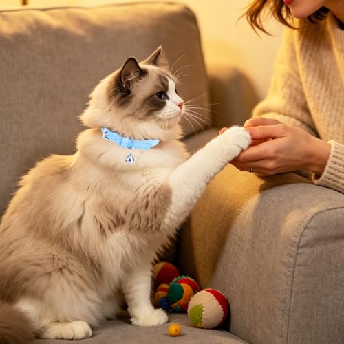 PUPTECK Soft Genuine Leather Cat Kitten Collar with Bells Adjustable for Girl Boy Cats Puppy - Blue - color: Blue