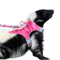 Ferret Harness and Leash Set Small Animals Vest Harness with Safe bell Dinosaur Shaped Walking clothes for Baby Rabbit Guinea pig Teacup Chihuahua Mouse and other small pet. (Pink Dinosaur) - color: Pink Dinosaur