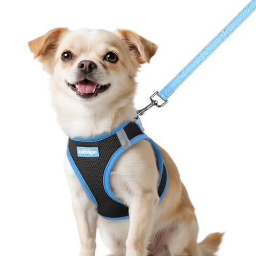 rabbitgoo Dog Harness Small Sized and Leash Set, Step in Soft Vest | Breathable Mesh, Easy Wear with Hook & Loop, Light and Reflective for Walking, Multi-colored, Black & Blue, XXS - color: Black & Blue, size: XXS (Chest: 12.4"-14.2")