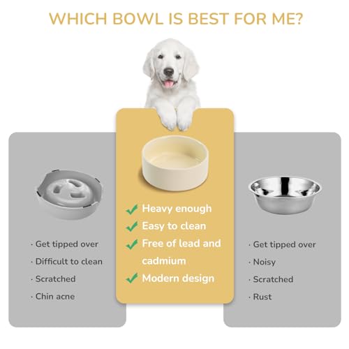 SPUNKYJUNKY 13.5OZ Ceramic Dog and Cat Bowl, Modern Cute Weighted Food Water Bowl for Replacement Beige (1 Pack) - color: Beige, size: 1.7 CUPS