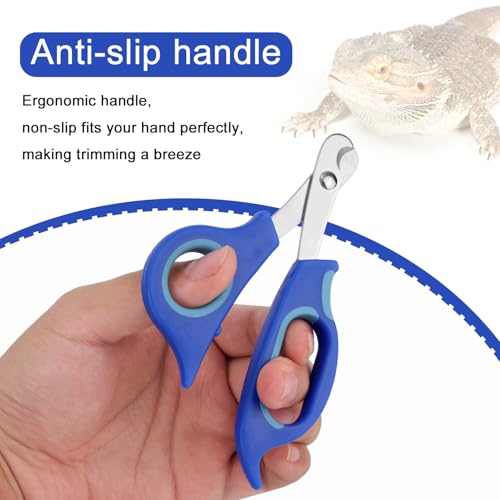 BOXOB Bearded Dragon Nail Clippers and File, Stainless Steel Small Animal Toe Nail Trimmer Scissors Professional Grooming Pet Tool for Reptiles Turtle Chameleon Iguana (Blue)
