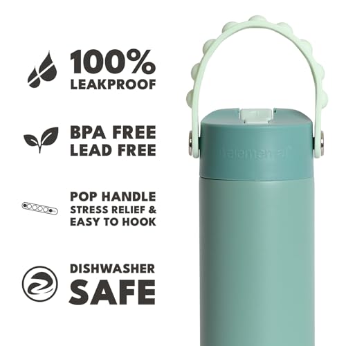 Elemental Insulated Kids Water Bottle, Stainless Steel Water Bottle with Straw Lid & Pop-It Handle, Leak-Proof Water Bottles for School, Boys or Girls, Travelling and Sports, 18oz - Sage - color: Sage
