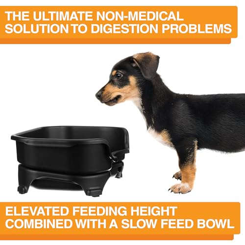 Neater Feeder Express Mess Proof Dog Bowls Elevated for Small Breed – Made in USA – No Spill Raised Slow Feeder Elevated Dog Bowl Stand, Stainless Steel Food and Water Bowl Set, Black - color: Midnight Black, size: Small w/ Metal Slow Feed Bowl