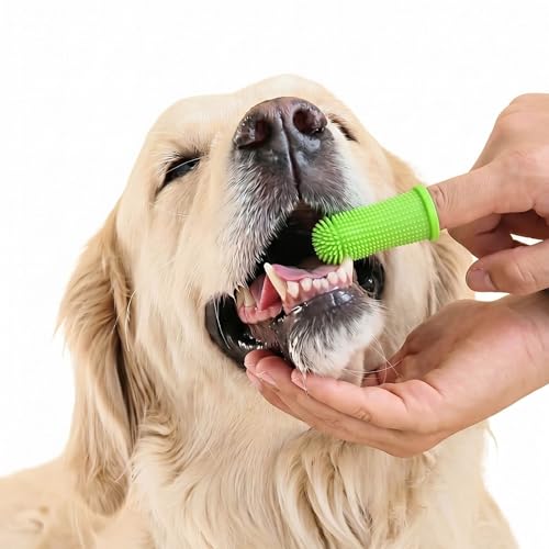 5PC pet grooming bath brush set - silicone massage brush with shampoo dispenser - suitable for dogs and cats for bathing, removing loose hair, and oral cleaning (green) - color: green