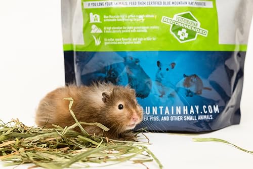 Blue Mountain Hay Timothy Hay Easy Flake Feed for Small Pets, 10lb | Easy Flake Timothy Hay, High Fiber Daily Forage, Soft Leafy Texture, Supports Digestion and Dental Care, Natural Nutrition - size: 10 Pound (Pack of 1)
