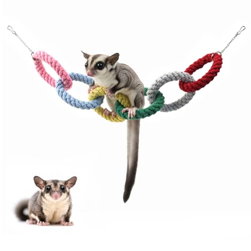 Sugar Glider Toys, Hanging Rat Climbing Toys with Hanging Chain, Sugar Glider Cage Accessories with Teeth-Grinding Effect, Squirrel Toy for Squirrels, Hamsters, Small Animals (Long) - color: Long