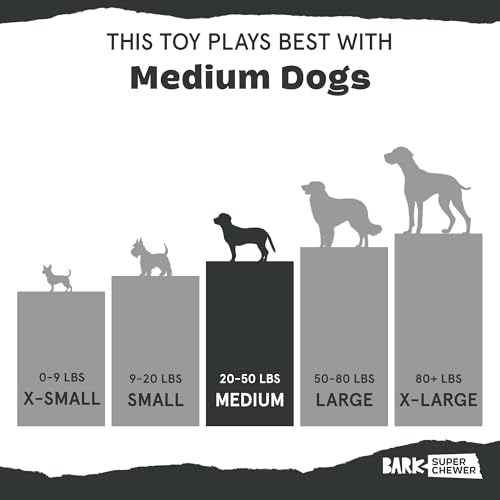 BarkBox Franz The Fox Dog Toy | Natural Rubber, Bacon Scented, Thrashy Tail & Wacky Bounce | Dog Toy for Aggressive Chewers - color: Franz the Fox-Medium