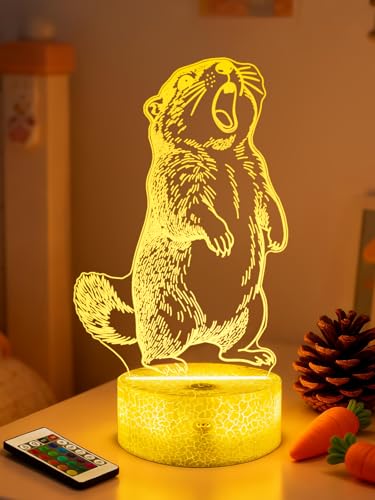 Groundhog 3D Night Light for Kids, LED 16 Colors Remote Control Changing Touch Dimmable Table Desk Lamp, Cute Animal Gifts for Groundhog Lovers Animal Fans - color: Color A