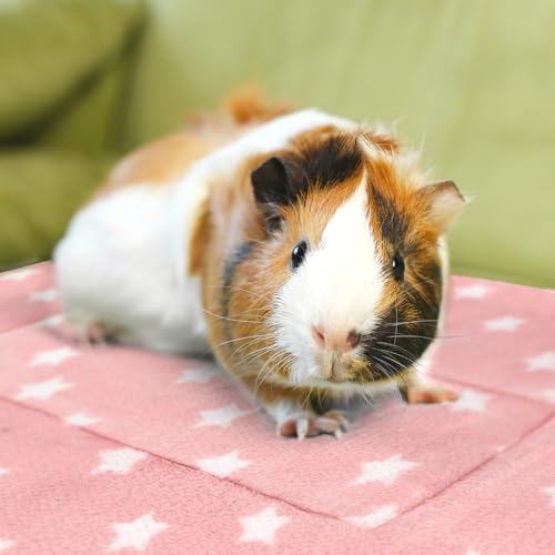 3PCS Guinea Pig Bed, Soft Rabbit Bedding, Fleece Bunny Mat | Warm Plush Cage Liner, Sleeping Blanket for Hamster Ferret Squirrel Hedgehog Rat - color: 04 - (3 Pcs)