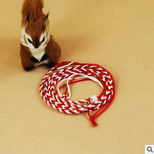 Zittop 1PC Small Animal Leash Lead Harness Rope Hamster Rat Mouse Adjustable Rope