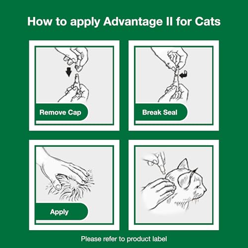 Advantage II Kitten Vet-Recommended Flea Treatment & Prevention | Cats 2-5 lbs. | 2-Month Supply